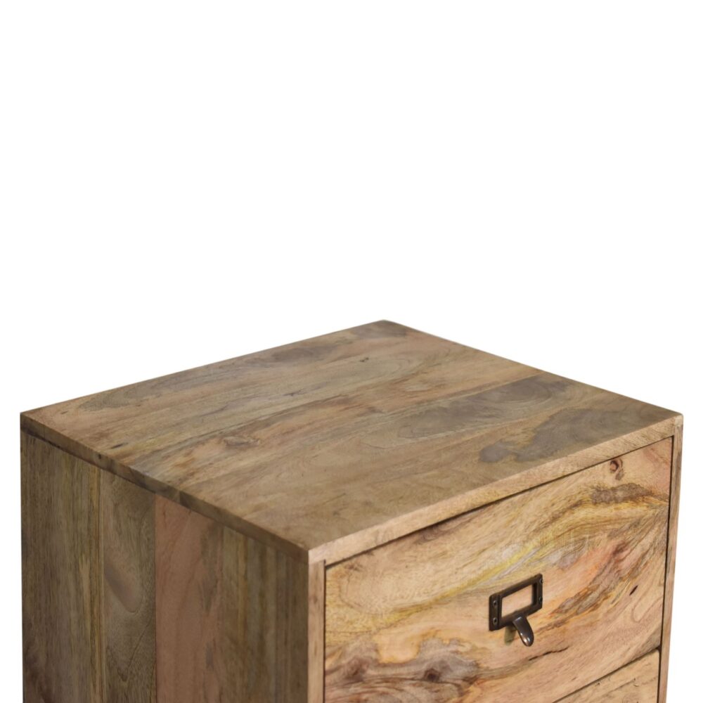 Oak-ish Filing Cabinet for resell